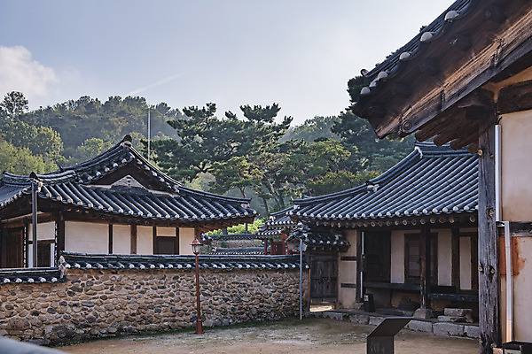 포토 JPG 주간 한국전통 여행 유적지 한옥 풍경 사람없음 야외 관광지 세계문화유산 문화재 가을 역사 한국사 논산 돈암서원 전사청 양성당 국내포토 자연요소 전통 계절 고건축 한국 충청남도 서원 파일형식