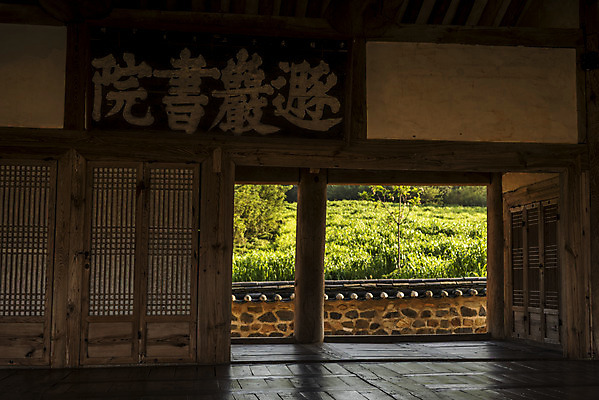 포토 JPG 주간 한국전통 여행 유적지 한옥 풍경 사람없음 야외 관광지 세계문화유산 문화재 가을 역사 한국사 논산 현판 돈암서원 응도당 국내포토 자연요소 전통 계절 고건축 한국 충청남도 서원 파일형식