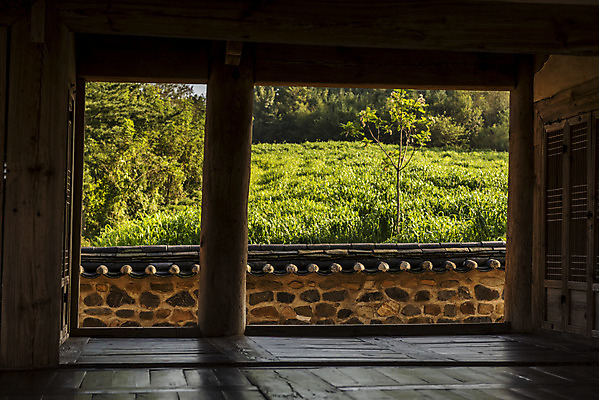 포토 JPG 주간 한국전통 여행 유적지 한옥 풍경 사람없음 야외 관광지 세계문화유산 문화재 가을 역사 한국사 나무기둥 논산 돈암서원 응도당 국내포토 자연요소 전통 계절 고건축 한국 충청남도 서원 파일형식