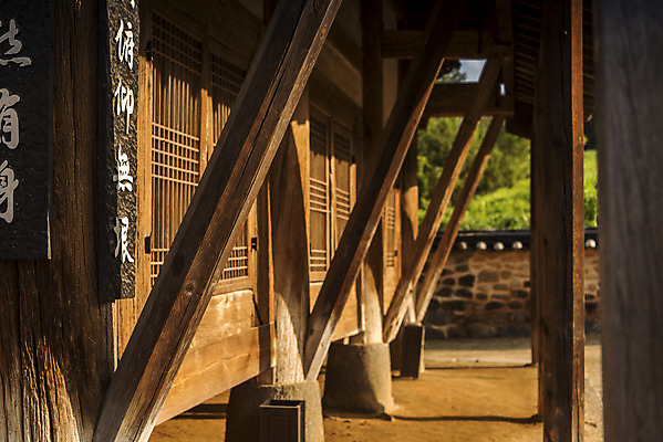 포토 JPG 주간 한국전통 여행 유적지 한옥 풍경 사람없음 야외 목재 관광지 세계문화유산 문화재 가을 역사 한국사 논산 돈암서원 응도당 국내포토 자연요소 나무 전통 계절 고건축 재료 한국 충청남도 서원 파일형식