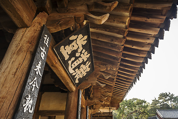 포토 JPG 주간 한국전통 여행 유적지 한옥 풍경 사람없음 야외 관광지 세계문화유산 문화재 가을 역사 한국사 논산 현판 돈암서원 응도당 국내포토 자연요소 전통 계절 고건축 한국 충청남도 서원 파일형식