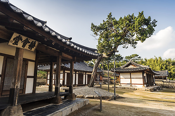 포토 JPG 주간 한국전통 여행 유적지 한옥 풍경 사람없음 야외 관광지 세계문화유산 문화재 가을 소나무 역사 한국사 논산 돈암서원 국내포토 자연요소 나무 전통 계절 고건축 한국 충청남도 서원 파일형식