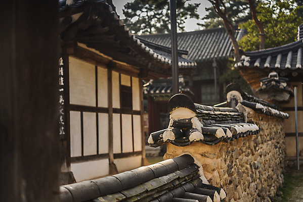 포토 JPG 주간 한국전통 여행 유적지 한옥 돌담 기와 풍경 사람없음 야외 관광지 담장 세계문화유산 문화재 가을 역사 한국사 논산 돈암서원 망와 국내포토 자연요소 전통 계절 고건축 한국 돌_바위 충청남도 서원 파일형식