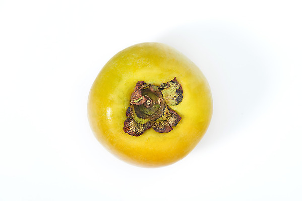 포토 JPG 스튜디오촬영 과일 자연 실내 감 누끼 사람없음 농작물 하이앵글 한개 신선 오브젝트 흰배경 유기농 비타민 단감 플랫레이 슈퍼푸드 국내포토 1 웰빙 뷰포인트 백그라운드 농업 내부 흰색 플랫 생태계 건강식품 영양소 파일형식