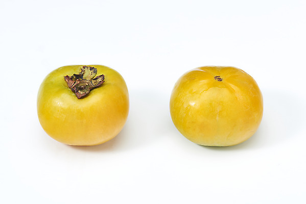 포토 JPG 스튜디오촬영 과일 자연 실내 감 누끼 사람없음 농작물 두개 신선 오브젝트 흰배경 유기농 비타민 단감 슈퍼푸드 국내포토 웰빙 백그라운드 2 농업 내부 흰색 생태계 건강식품 영양소 파일형식