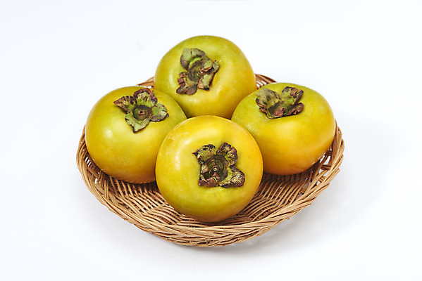 포토 JPG 스튜디오촬영 과일 자연 실내 감 누끼 사람없음 농작물 바구니 여러개 신선 오브젝트 흰배경 유기농 비타민 단감 슈퍼푸드 국내포토 웰빙 다수 백그라운드 농업 내부 흰색 생태계 건강식품 영양소 파일형식