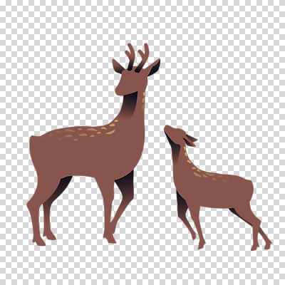 동물 편집 편집이미지 두마리 자연 사슴 누끼 사람없음 갈색 PNG 편집소스 컬러 2 포유류 생태계 파일형식