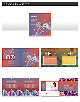 템플릿 손 여자 ZIP 리플렛 의학 돋보기 세포 건강 한명 사람 팜플렛 성인 30대 컬러풀 인포그래픽 한국인 바이러스 질병 식중독 성인여자한명만 인디자인 INDD 이미지템플릿 1 컬러 동양인 신체부위 장년 여자한명만 성인여자만 파일형식