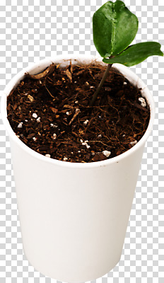 편집이미지 캠페인 누끼 사람없음 하이앵글 한개 새싹 자연보호 환경 그린캠페인 흙 재활용 환경오염 오염 종이컵 오브젝트 PNG 업사이클링 편집소스 제로웨이스트 식물 1 뷰포인트 컨셉 자연 컵 보호 일회용 사회이슈 친환경 파일형식