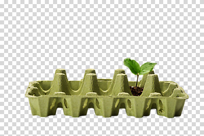 편집이미지 캠페인 누끼 사람없음 새싹 자연보호 환경 그린캠페인 흙 재활용 환경오염 오염 오브젝트 PNG 계란판 업사이클링 편집소스 제로웨이스트 식물 컨셉 자연 보호 사회이슈 친환경 파일형식