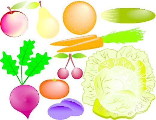 EPS 해외이미지 열매 문화 음식 잎 다이어트 토마토 채소 오렌지 과일 일러스트 자연 오이 건강 초록색 세트 노란색 당근 수확 달콤 사과 상품 심볼 양배추 비타민 자두 비트 숙성 채식주의자 해외일러스트 식물 컬러 농업 뿌리채소 맛 생태계 채식 영양소 파일형식 벡터 이미지허브