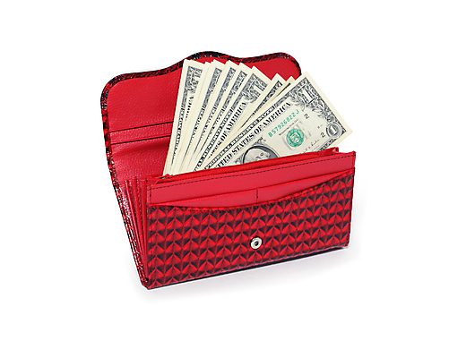 포토 JPG 해외이미지 지폐 돈 가방 비즈니스 사람없음 쇼핑 한개 달러 지갑 구매 가죽 계산서 해외포토 1 잡화 재산 파일형식 이미지허브