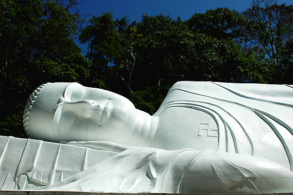 포토 JPG 해외이미지 나무 아시아 종교 얼굴 선 조각 백그라운드 불교 태국 동양인 사람없음 초록색 조각상 머리 평화 일본 중국 바위 흰색 기도 잠 영혼 역사 명상 베트남 위치 거인 거짓말 숭배 해외포토 식물 나라 컬러 컨셉 인종 신체부위 조형물 동남아시아 돌_바위 파일형식 이미지허브