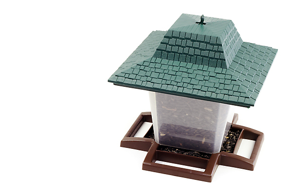 포토 JPG 해외이미지 1 음식 백그라운드 조류 지붕 해바라기 쟁반 씨앗 앉기 사람없음 초록색 갈색 검은색 흰색 등불 먹이 컨테이너 플라스틱 오브젝트 해외포토 식물 동물 꽃 산업 컬러 모션 재질 조명 파일형식 이미지허브