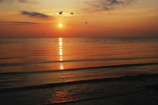 포토 JPG 해외이미지 구름 바다 백그라운드 조류 하늘 풍경 사람없음 물 빛 태양 반사 일출 일몰 저녁 천 해외포토 자연요소 동물 노을 직물 야간 파일형식 이미지허브