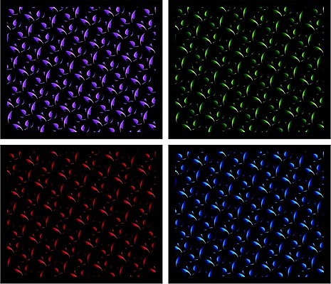 EPS 해외이미지 디자인 꽃잎 백그라운드 잎 무늬 꽃무늬 패턴 곡선 일러스트 벽지 불 동화 추상 불꽃 나선형 미술 장식 빛 검은색 줄무늬 덮개 소용돌이 표현 화려 우아함 야간 실크 타일 질감 테마 화상 스타일 해외일러스트 자연요소 식물 꽃 선 컬러 컨셉 문화예술 뚜껑 회오리 직물 상처 파일형식 벡터 이미지허브