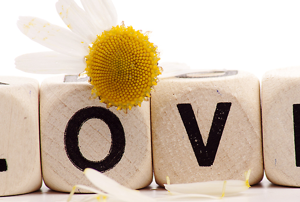 포토 JPG 해외이미지 모양 기념일 꽃 백그라운드 데이트 일러스트 텍스트 관계 자연 성공 결혼식 발렌타인데이 사랑 타이포그라피 사람없음 가로 숫자 머리 검은색 낭만 벚꽃 게임 흰색 행운 재산 큐브 오브젝트 주사위 데이지 정사각형 열정 타입 중독 2월 고립 해외포토 도형 식물 문자 감정 컬러 결혼 컨셉 데이이벤트 놀이 이벤트 신체부위 금융 날짜 생태계 파일형식 이미지허브