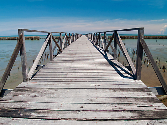 포토 JPG 해외이미지 구름 외관 공원 아시아 바다 여행 백그라운드 패턴 교통시설 태국 자연 하늘 표면 바닥 사람없음 야외 목재 물 파란색 환경 판넬 거친 널 천 타일 질감 수목 수평선 해외포토 자연요소 나무 공공시설 나라 컬러 교통 무늬 재료 직물 시설 생태계 파일형식 이미지허브