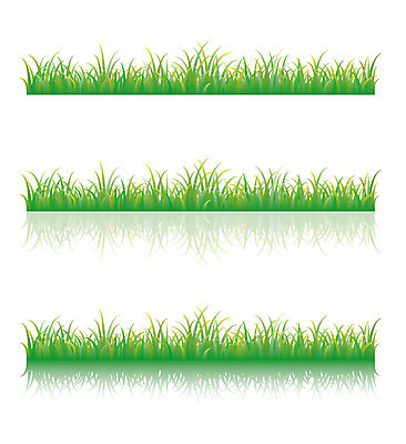 EPS 해외이미지 식물 디자인 계절 선 백그라운드 컨셉 잎 패턴 밭 농업 일러스트 자연 추상 그림자 잔디 야외 그래픽 장식 초록색 물 반사 환경 정원 봄 성장 흰색 신선 땅 허브 내추럴 고립 해외일러스트 자연요소 산업 컬러 무늬 생태계 파일형식 벡터 이미지허브