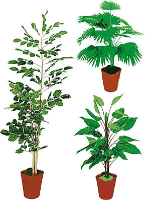 EPS 해외이미지 식물 1 화분 컨셉 잎 농업 일러스트 새로움 초록색 새싹 정원 희망 흙 펼침 성장 흰색 시골 신선 냄비 작음 시작 에코 원예 내추럴 고립 밭일 생태학 처음 카피스페이스 해외일러스트 교육 감정 산업 컬러 모션 취미 환경 공백 솥 크기 파일형식 벡터 이미지허브