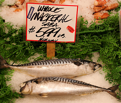 포토 JPG 해외이미지 음식 자연 어류 미술 사람없음 가로 초록색 빛 머리 세일 얼음 줄무늬 추위 신선 그룹 시장 은색 해산물 눈금 지느러미 고등어 흙더미 소금물 시애틀 줄서기 해외포토 자연요소 컬러 무늬 모션 문화예술 신체부위 수중동물 흙 생태계 파일형식 더미 이미지허브