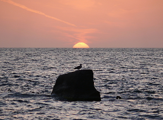 포토 JPG 해외이미지 구름 실루엣 호수 파도 바다 여행 백그라운드 오렌지 자연 갈매기 하늘 날씨 휴식 풍경 사람없음 물 여름 파란색 빛 컬러풀 햇빛 태양 뷰티 반사 노란색 일출 검은색 황혼 일몰 봄 새벽 낭만 황금 수평선 해외포토 자연요소 계절 컬러 컨셉 과일 조류 촬영기법 노을 생태계 파일형식 이미지허브