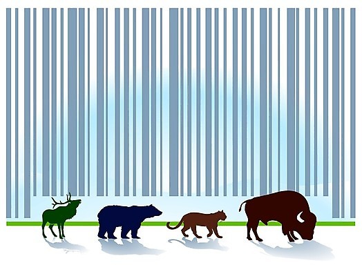 EPS 해외이미지 동물 야생동물 백그라운드 밭 일러스트 자연 사슴 초록색 농장 환경 자료 시골 바 암호 숲 들소 내추럴 그리너리 해외일러스트 컬러 농업 포유류 소 생태계 파일형식 벡터 트랜드컬러 이미지허브