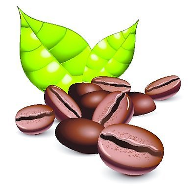 EPS 해외이미지 클립아트 커피 음식 백그라운드 잎 일러스트 재료 아침 콩 씨앗 검은색 카페 흰색 바 아침식사 굽기 에스프레소 고립 아라비카 카페인 맛있는 해외일러스트 주간 식물 음료 컬러 곡류 상점 식사 구이 파일형식 벡터 이미지허브