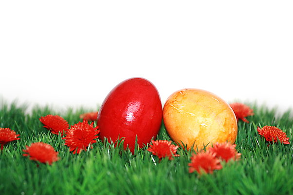 포토 JPG 해외이미지 전통 디자인 계절 꽃 행복 기독교 종교 음식 백그라운드 꽃무늬 패턴 자연 휴가 부활절 창조 선물 사람없음 장식 빨간색 초록색 컬러풀 노란색 계란 페인트 놀람 봄 흰색 축하 토끼 둥지 4월 수집 심볼 고립 해외포토 식물 기념일 감정 컬러 컨셉 무늬 포유류 표정 반려동물 알 날짜 생태계 파일형식 이미지허브