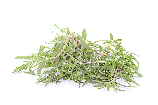 포토 JPG 해외이미지 식물 음식 재료 건강 요리 사람없음 초록색 흰색 신선 약초 허브 향신료 향기 아로마 시트 입가심 채식주의자 해외포토 컬러 풀_식물 채식 냄새 향미료 파일형식 이미지허브