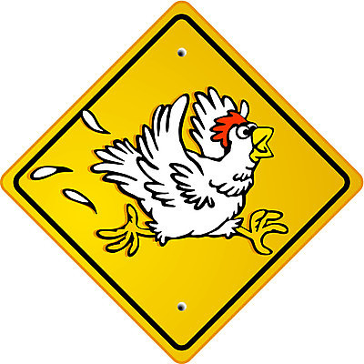 EPS 해외이미지 캐릭터 일러스트 농장 노란색 치킨 만화 깃털 호기심 조심 방패 암탉 해외일러스트 일러캐릭터 감정 컬러 컨셉 농업 닭 암컷 닭고기요리 파일형식 벡터 이미지허브