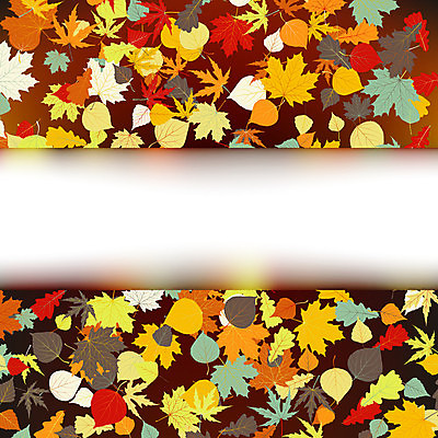 EPS 해외이미지 모양 나무 식물 디자인 계절 백그라운드 단풍 잎 꽃무늬 패턴 오렌지 일러스트 자연 벽지 추상 미술 목재 그래픽 장식 빨간색 초록색 갈색 노란색 페인트 수확 점 원형 신용카드 화려 황금 우아함 9월 11월 심볼 복고 10월 엘리먼트 옛날 해외일러스트 도형 꽃 컬러 컨셉 무늬 농업 과일 재료 문화예술 금융 날짜 생태계 파일형식 벡터 이미지허브