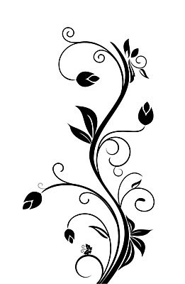 EPS 해외이미지 템플릿 디자인 배너 꽃 백그라운드 잎 꽃무늬 일러스트 텍스트 자연 벽지 추상 휴가 꼬리표 검은색 수확 벚꽃 소용돌이 인사 신용카드 생일 개화 우아함 레이아웃 초대 짐싸기 해외일러스트 식물 기념일 컬러 컨셉 무늬 농업 금융 라벨 회오리 예절 생태계 파일형식 벡터 이미지허브