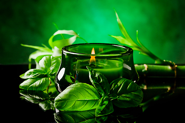 포토 JPG 해외이미지 아시아 잎 불 휴식 건강 동양인 사람없음 초록색 스파 맛 대나무 오브젝트 향기 바질 왁스 해외포토 자연요소 나무 식물 나라 컬러 컨셉 인종 냄새 파일형식 이미지허브