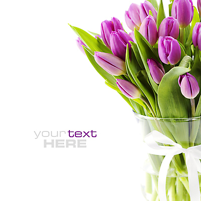 포토 JPG 해외이미지 식물 꽃잎 꽃 줄기 분홍색 꽃다발 백그라운드 꽃무늬 텍스트 따뜻함 선물 사람없음 장식 빨간색 컬러풀 뷰티 우주 정원 꽃병 놀람 봄 활발 젖음 튤립 벚꽃 흰색 개화 닫기 다발 꽃가루 고립 카피스페이스 해외포토 계절 감정 컬러 컨셉 무늬 모션 표정 공백 가루 파일형식 이미지허브