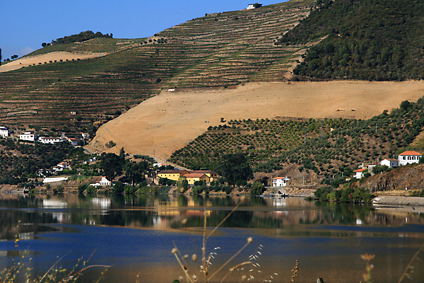 포토 JPG 해외이미지 자연 포도 주택 사람없음 건물 물 파란색 강 반사 노란색 마을 계곡 포르투갈 언덕 그림 포도밭 도루강 해외포토 자연요소 건축물 유럽 컬러 밭 과일 생태계 파일형식 이미지허브