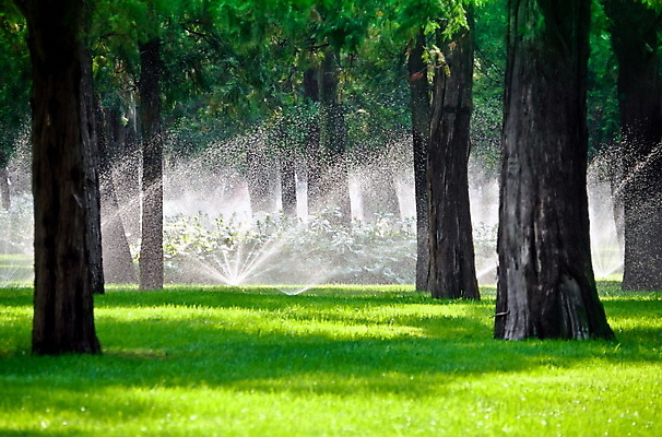 포토 JPG 해외이미지 식물 백그라운드 밭 농업 골프 자연 건강 잔디 초원 사람없음 초록색 물 여름 뷰티 정원 봄 젖음 물방울 신선 떨어짐 뿌리기 물주기 원예 조경 스프레이 분무기 시스템 스프링쿨러 원예사 자동 해외포토 자연요소 직업 계절 산업 컬러 컨셉 모션 취미 구기 생태계 파일형식 이미지허브