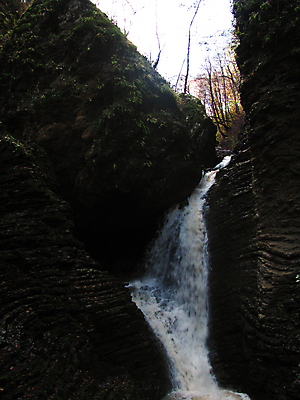 포토 JPG 해외이미지 나무 여행 자연 휴식 산 풍경 사람없음 목재 물 뷰티 폭포 가을 암초 해외포토 자연요소 식물 계절 컨셉 재료 생태계 파일형식 이미지허브