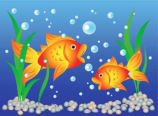 EPS 해외이미지 동물 캐릭터 바다 분홍색 백그라운드 오렌지 일러스트 학교 자연 생물 바닥 종류 어류 장식 초록색 물 파란색 강 세트 컬러풀 보라색 수영 거품 조약돌 황금 만화 앵무새 암초 수족관 동물상 많음 해외일러스트 일러캐릭터 자연요소 교육 컬러 컨셉 과일 조류 조형물 수중동물 돌_바위 수상스포츠 생태계 파일형식 벡터 이미지허브