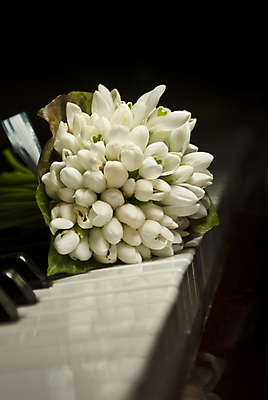 포토 JPG 해외이미지 꽃다발 실내 사람없음 장미 피아노건반 피아노 피아니스트 해외포토 꽃 내부 연주자 건반 건반악기 파일형식 이미지허브