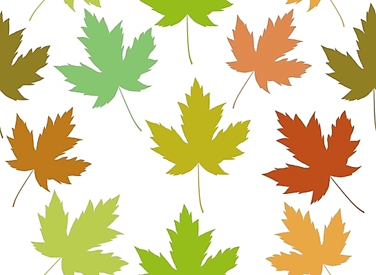 포토 JPG 해외이미지 나무 식물 계절 백그라운드 단풍 잎 캐나다 패턴 일러스트 자연 추상 사람없음 장식 환경 봄 질감 해외일러스트 북아메리카 무늬 생태계 파일형식 이미지허브