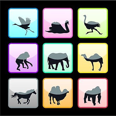 EPS 해외이미지 동물 디자인 실루엣 길 바다 일러스트 포유류 자연 조류 추상 코끼리 동물원 그래픽 세트 검은색 치킨 원숭이 수집 사파리 기중기 사인 백조 낙타 유인원 해외일러스트 컬러 무늬 촬영기법 중장비 생태계 닭고기요리 파일형식 벡터 이미지허브
