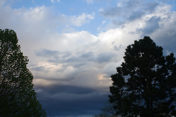 포토 JPG 해외이미지 나무 구름 백그라운드 자연 하늘 풍경 사람없음 야외 여름 파란색 뷰티 환경 조경 장면 해외포토 자연요소 식물 계절 컬러 생태계 파일형식 이미지허브