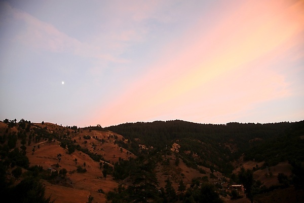 포토 JPG 해외이미지 나무 밭 농업 아프리카 사람없음 농장 농경지 마을 시골 언덕 모로코 지리 해외포토 식물 나라 산업 파일형식 이미지허브