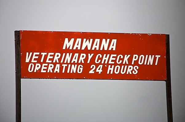 포토 JPG 해외이미지 동물 디자인 백그라운드 일러스트 아프리카 자연 프레임 건조 건강 사람없음 야외 목재 치료 빨간색 맑음 사막 표지판 뜨거움 입 메시지 사파리 복고 상업 공지사항 승진 내추럴 고립 나미비아 돌봄 마케팅 보츠와나 옛날 칼라하리 수평선 카피스페이스 해외일러스트 나무 나라 컬러 재료 의학 모션 날씨 알림판 신체부위 공백 생태계 남아프리카 파일형식 이미지허브