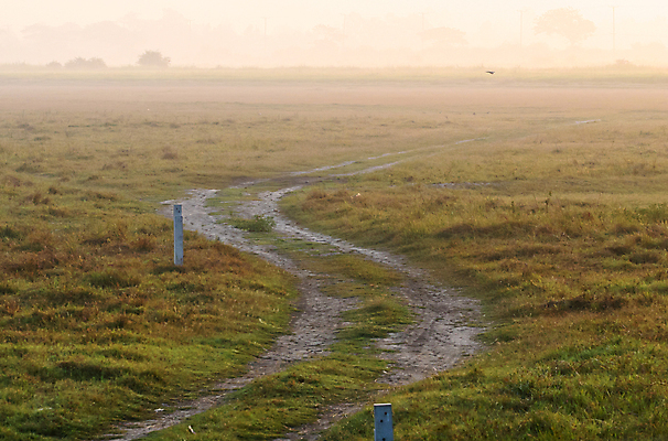 포토 JPG 해외이미지 나무 도로 길 호수 밭 태국 자연 하늘 아침 날씨 파노라마 사람없음 초록색 파란색 맑음 봄 흰색 시골 숲 땅 언덕 먼지 흙길 수평선 해외포토 주간 식물 계절 아시아 컬러 농업 교통시설 촬영기법 흙 생태계 파일형식 이미지허브