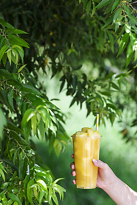 포토 JPG 주간 손 나뭇잎 빨대 들기 야외 아웃포커스 신체부위 여름 카페 파인애플 메뉴 냉음료 파인애플주스 플라스틱컵 국내포토 자연요소 계절 음료 잎 과일 모션 촬영기법 사람 컵 상점 과일주스 플라스틱 열대과일 파일형식