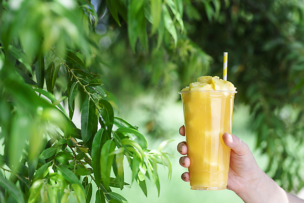 포토 JPG 주간 손 나뭇잎 빨대 들기 야외 아웃포커스 신체부위 여름 카페 소프트포커스 파인애플 메뉴 냉음료 파인애플주스 플라스틱컵 국내포토 자연요소 계절 음료 잎 과일 모션 촬영기법 사람 컵 상점 과일주스 플라스틱 열대과일 파일형식