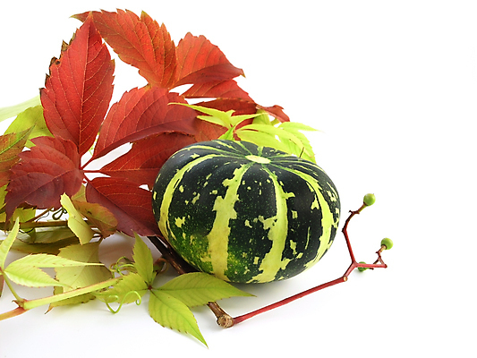 포토 JPG 해외이미지 계절 잎 채소 오렌지 호박 휴가 사람없음 컬러풀 할로윈 가을 흰배경 10월 고립 해외포토 식물 컬러 백그라운드 과일 흰색 날짜 파일형식 이미지허브