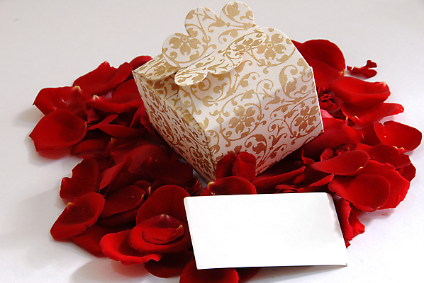 포토 JPG 해외이미지 모양 디자인 배너 여자 기념일 꽃잎 꽃 결혼 크리스마스 목걸이 자연 프레임 발렌타인데이 선물 사랑 미술 사람없음 장식 빨간색 상자 컬러풀 장미 흰색 하트 생일 황금 구슬 묘사 질감 수공예 강렬 고립 팬던트 국경 해외포토 식물 감정 컬러 장신구 데이이벤트 문화예술 사람 이벤트 공예 생태계 파일형식 이미지허브